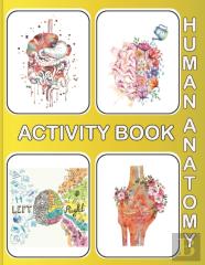 Human Anatomy Activity Book