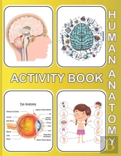 Human Anatomy Activity Book