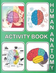 Human Anatomy Activity Book