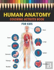 Human Anatomy Coloring Activity Book For Kids