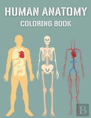 Human Anatomy Coloring Book