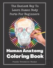 Human Anatomy Coloring Book