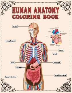 Bertrand.pt - Human Anatomy Coloring Book