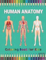 Human Anatomy Coloring Book For Kids