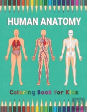 Human Anatomy Coloring Book For Kids