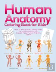 Human Anatomy Coloring Book For Kids