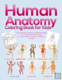 Bertrand.pt - Human Anatomy Coloring Book For Kids