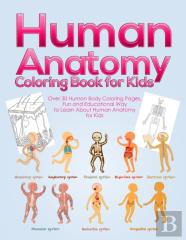 Human Anatomy Coloring Book For Kids