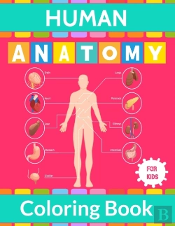 Bertrand.pt - Human Anatomy Coloring Book For Kids