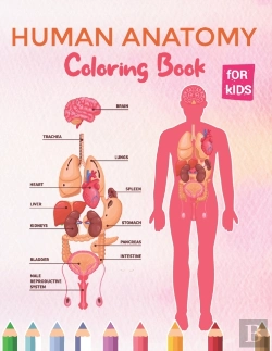 Bertrand.pt - Human Anatomy Coloring Book For Kids