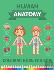 Human Anatomy Coloring Book For Kids