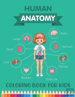 Bertrand.pt - Human Anatomy Coloring Book For Kids