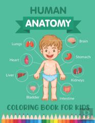 Human Anatomy Coloring Book For Kids