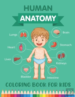 Bertrand.pt - Human Anatomy Coloring Book For Kids