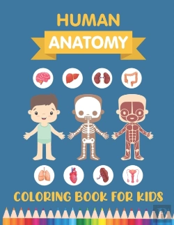Bertrand.pt - Human Anatomy Coloring Book For Kids
