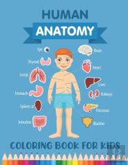 Human Anatomy Coloring Book For Kids
