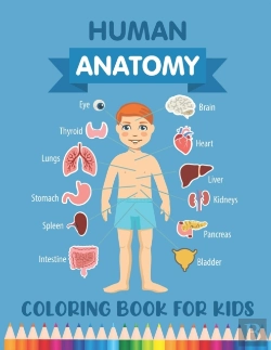 Bertrand.pt - Human Anatomy Coloring Book For Kids