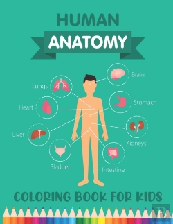 Bertrand.pt - Human Anatomy Coloring Book For Kids