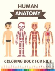 Human Anatomy Coloring Book For Kids
