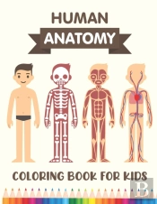 Human Anatomy Coloring Book For Kids