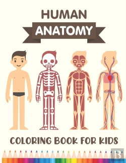Bertrand.pt - Human Anatomy Coloring Book For Kids