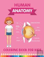 Human Anatomy Coloring Book For Kids