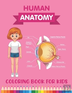 Bertrand.pt - Human Anatomy Coloring Book For Kids