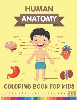 Bertrand.pt - Human Anatomy Coloring Book For Kids