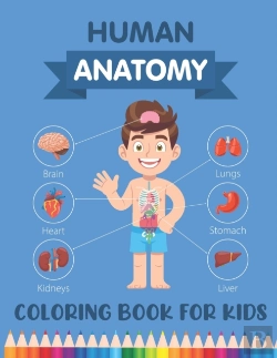 Bertrand.pt - Human Anatomy Coloring Book For Kids