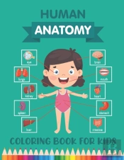 Human Anatomy Coloring Book For Kids