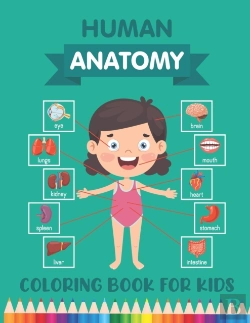 Bertrand.pt - Human Anatomy Coloring Book For Kids
