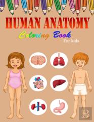 Human Anatomy Coloring Book For Kids