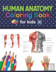 Human Anatomy Coloring Book For Kids