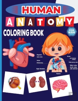 Bertrand.pt - Human Anatomy Coloring Book For Kids