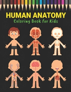 Bertrand.pt - Human Anatomy Coloring Book For Kids