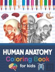 Human Anatomy Coloring Book For Kids