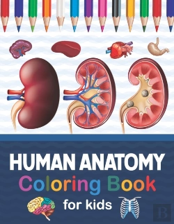 Bertrand.pt - Human Anatomy Coloring Book For Kids