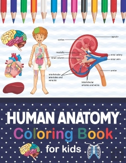 Bertrand.pt - Human Anatomy Coloring Book For Kids