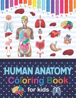 Bertrand.pt - Human Anatomy Coloring Book For Kids