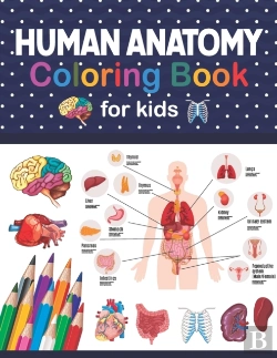 Bertrand.pt - Human Anatomy Coloring Book For Kids