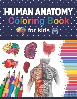 Bertrand.pt - Human Anatomy Coloring Book For Kids