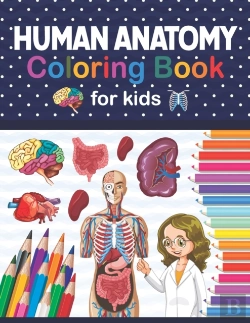 Bertrand.pt - Human Anatomy Coloring Book For Kids