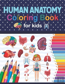Bertrand.pt - Human Anatomy Coloring Book For Kids