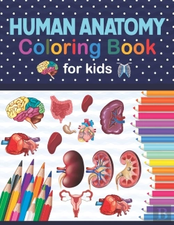 Bertrand.pt - Human Anatomy Coloring Book For Kids