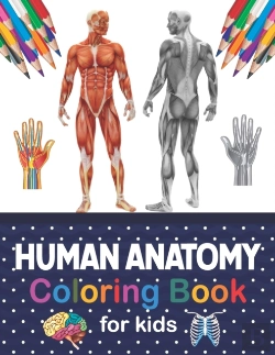 Bertrand.pt - Human Anatomy Coloring Book For Kids