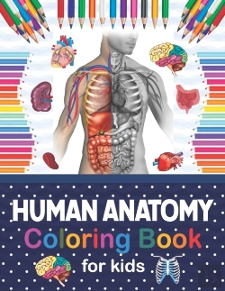 Bertrand.pt - Human Anatomy Coloring Book For Kids