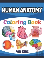 Human Anatomy Coloring Book For Kids