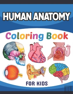 Bertrand.pt - Human Anatomy Coloring Book For Kids