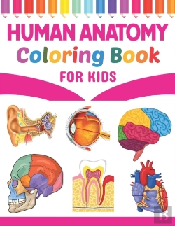 Bertrand.pt - Human Anatomy Coloring Book For Kids