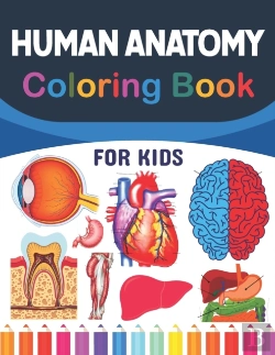 Bertrand.pt - Human Anatomy Coloring Book For Kids